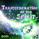 Cosmos Vibration - Life Equation