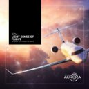 8PM - Light Sense Of Flight (Alternative Mix)