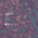 Hydrangea - Osmosis V (Original mix)