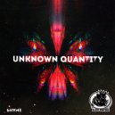 Phame - Unknown Qauntity (Original mix)