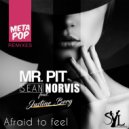 Mr. Pit & Sean Norvis & Justine Berg - Afraid To Feel (Erick Fill Reggamix)