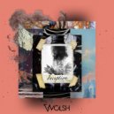 Wolsh - The Storm (Original Mix)