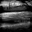 Paweldun - Lucanus cervus (Original Mix)