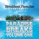 Basement Freaks - Jam In The Jungle