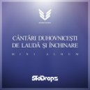 SkiDropz - Indigo (Original Mix)