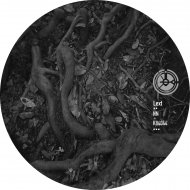 Lext - Sacred Form