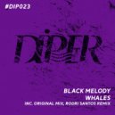 Black Melody - Whales