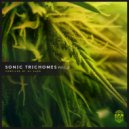 Organik Soul - Pachamama (Original Mix)