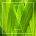 David Museen - Wenpool (Original Mix)