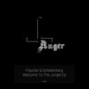 Pitscher & Schellenberg - Wild Life (Original Mix)