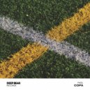 FAOL - Copa