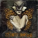 Tetril & Gekfol - Metamorphosis