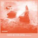 David Bitton - Spira (Original Mix)
