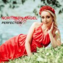 Northern Angel - Perfection (Original Mix)