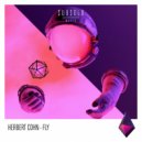 Herbert Cohn - Fly