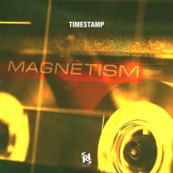 Timestamp - Magnetism