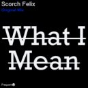 Scorch Felix - What I Mean (Extended Mix)