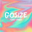Gosize - Funky House (Original Mix)