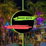 Muggy Moth - Dizzy Wave House Club
