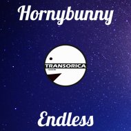 Hornybunny - Angel