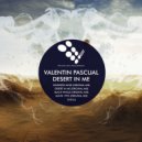 Valentin Pascual - Black Whale (Original Mix)