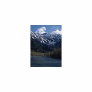 Mindfulness Healing BGM Project - Planet & Mental Stability