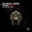 Pablo Caballero, Tankhamun - Environment (Dunkel Dame Remix)