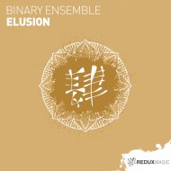Binary Ensemble - Elusion