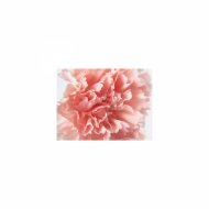 Mindfulness Healing BGM Project - Down & Bgm