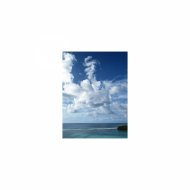 Mindfulness Healing BGM Project - Nightingale & Frustration