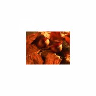 Mindfulness Healing BGM Project - Pythagoras & Attraction