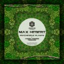Max Hebert - Psychedelic Plants (Hodges Acid Dub)