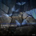 Di Morais, Zonatto - Like You (Original Mix)