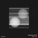 Unknown Artist - ZX3
