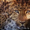 DJ Parolov - The Right Time