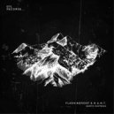 Flashingroof & H.A.N.T. - North Express