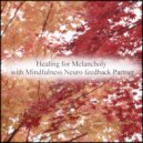 Mindfulness Neuro Feedback Partner - Meteor & Communication (Original Mix)