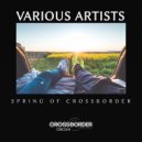 Flash Gorgo - Praise The Sun (Original Mix)