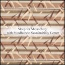 Mindfulness Sustainability Center - Window & Detox