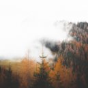 Yoga Music Yoga - Natural Calm ()