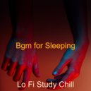 Lo Fi Study Chill - Mood for Study Sessions - Astounding Guitar Solo (Original mix)