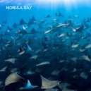 Style of Sound & Eternal Soul Vibes - Mobula Ray