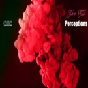 Steve Otto - Perceptions