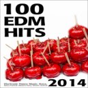 Entity Plus - Fast Times