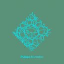 Pulsac - Microtec