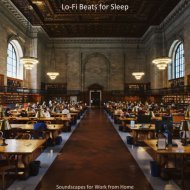 Lo-fi Beats for Sleep - Entertaining Moments for Gaming