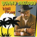 Bunny Melody - Never Love This Way Again (Original Mix)