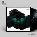 VinS - Reflection