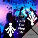 Purple Flowers - Start Too Getting (Indie Disco Deep House) (Original Mix)