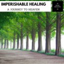Ambient 11 - Depth Of Heart (Original Mix)